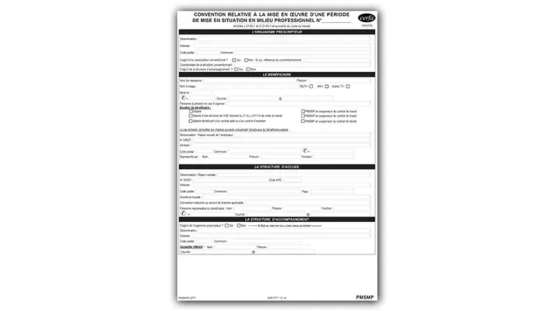 Formulaire Périodes de mise en situation en milieu professionnel