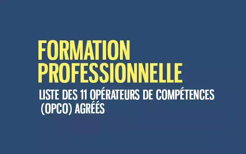 Les opérateurs de compétences (OPCO)