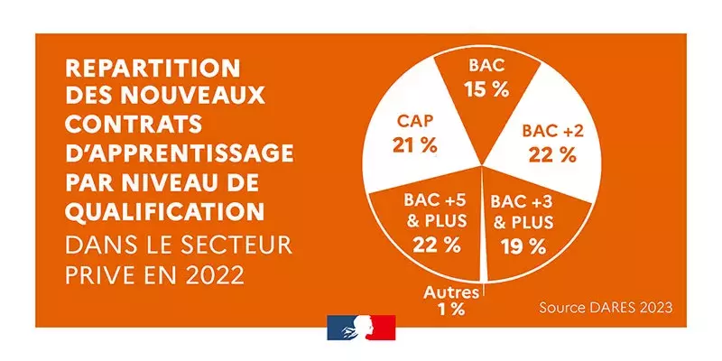 jpg/repartition-contrat---niveau-de-qualification.jpg