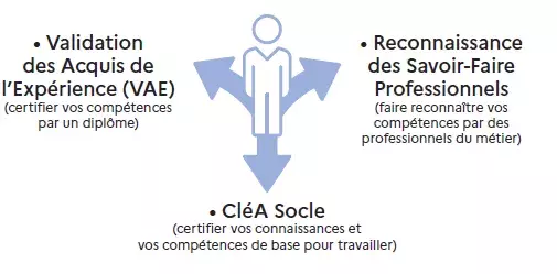 png/competencepec-schema.png